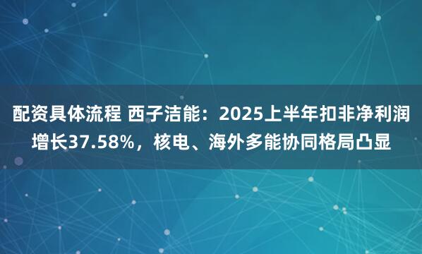 配资具体流程 西子洁能：2025上半年扣非净利润增长37.58%，核电、海外多能协同格局凸显