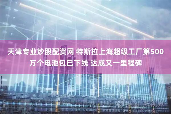 天津专业炒股配资网 特斯拉上海超级工厂第500万个电池包已下线 达成又一里程碑