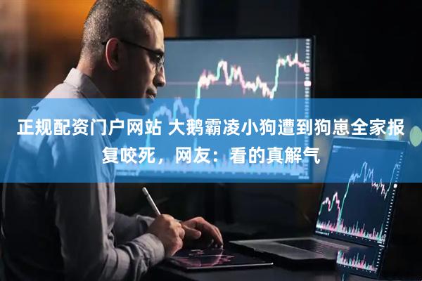 正规配资门户网站 大鹅霸凌小狗遭到狗崽全家报复咬死，网友：看的真解气