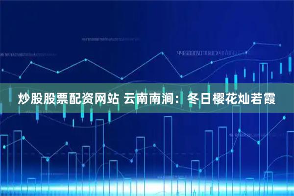炒股股票配资网站 云南南涧：冬日樱花灿若霞