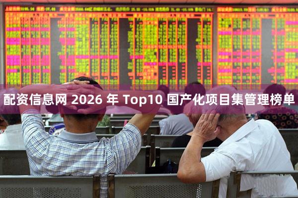 配资信息网 2026 年 Top10 国产化项目集管理榜单